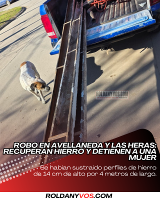 Robo en Avellaneda y Las Heras: recuperan hierro y detienen a una mujer