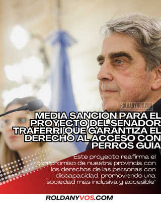 Media sanción para el proyecto del senador Traferri que garantiza el derecho al acceso con perros guía
