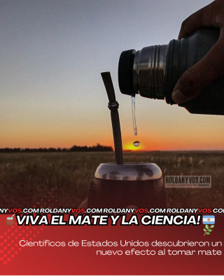 La ciencia lo confirma: el mate puede ayudar a prevenir la diabetes tipo 2