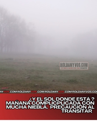 Martes 16 de Septiembre , Alerta por niebla
