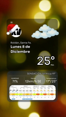 Lunes 8 de Diciembre, armamos el árbolito y disfrutamos este aire fresco