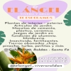 Vivero El Ángel