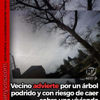 Vecino advierte por un árbol podrido y con riesgo de caer sobre una vivienda