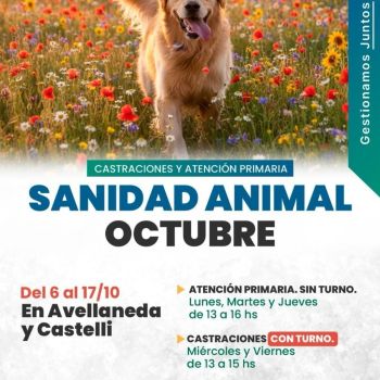 🐾 Campaña de Sanidad Animal en Roldán: castraciones y atención primaria durante octubre