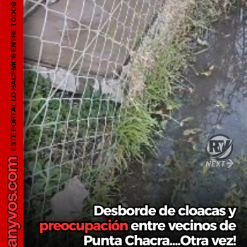 Desborde de cloacas en Punta Chacra: vecinos vuelven a reclamar soluciones de fondo