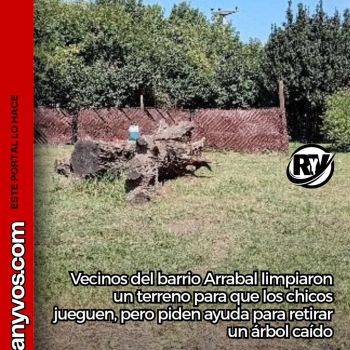 Roldán: vecinos del barrio Arrabal limpiaron un terreno para que los chicos jueguen, pero piden ayuda para retirar un árbol caído