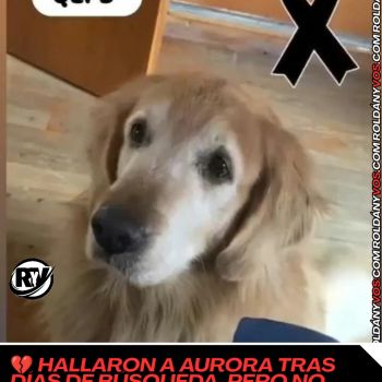 Hallaron a Aurora tras días de búsqueda, pero no logró sobrevivir.