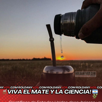 La ciencia lo confirma: el mate puede ayudar a prevenir la diabetes tipo 2