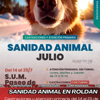 Sanidad Animal en Roldán: castraciones y atención primaria del 14 al 25 de julio