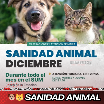Sanidad Animal: Cronograma completo de castraciones y atención primaria para diciembre en Roldán